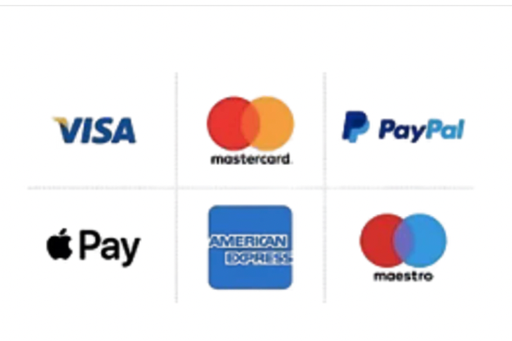 Logos of Visa, Mastercard, PayPal, Apple Pay, American Express, and Maestro on a white background
